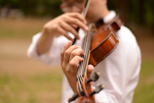 ヴァイオリンを演奏する・いちろーたの左手、写真