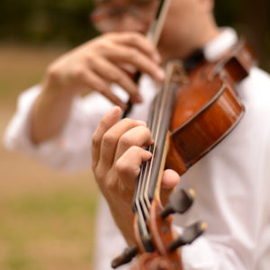 ヴァイオリンを演奏する・いちろーたの左手と右手